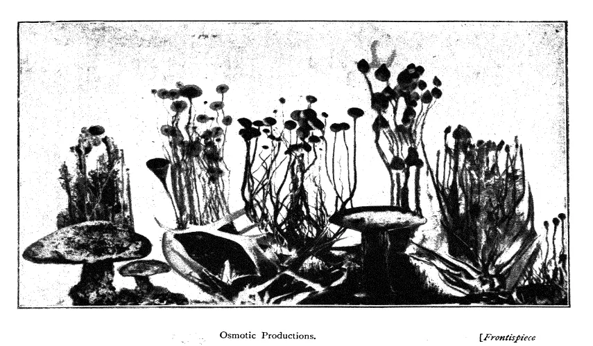 Primary-source scan of the frontispiece plate from Leduc's The Mechanism of Life showing osmotic productions.